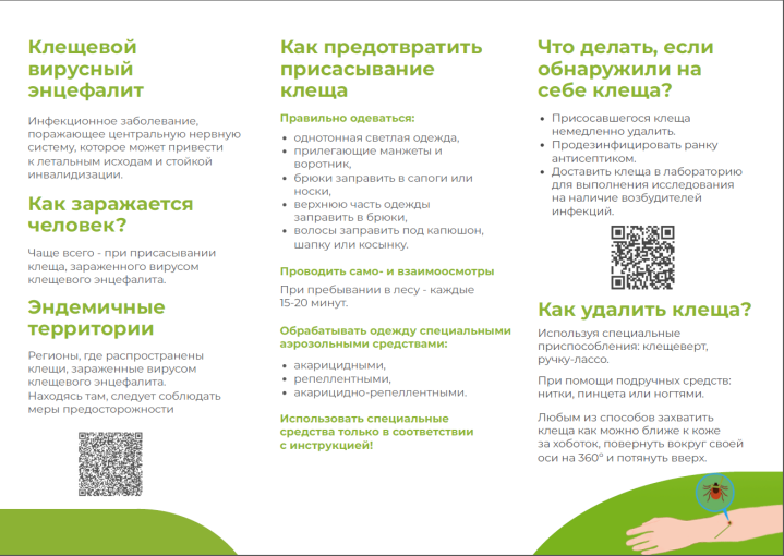 Памятка по профилактике клещевого энцефалита. Памятка по профилактике клещевого энцефалита.